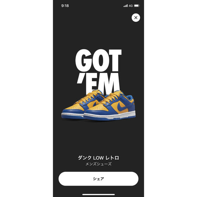 NIKE(ナイキ)のNike Dunk Low BlueJayand University Gold メンズの靴/シューズ(スニーカー)の商品写真