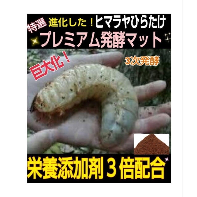 極上!プレミアム3次カブトムシ発酵マット☆特殊アミノ酸強化配合