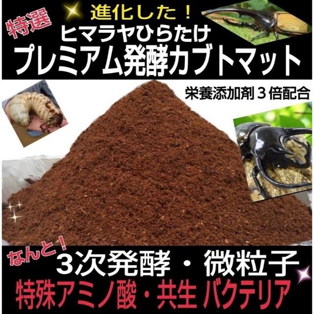 極上！ヒマラヤひらたけプレミアム3次発酵マット【30L】カブトムシ幼虫がビックに 5