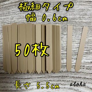 ベージュ　多肉植物 アガベ サボテンに◎ 園芸用 ラベル ネームラベル 50枚(その他)