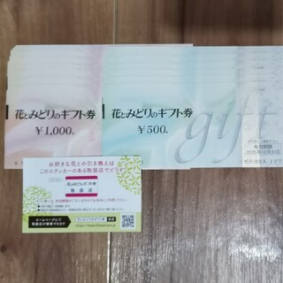 花とみどりのギフト券　1万円分(ショッピング)