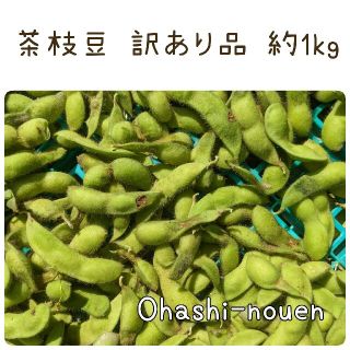 大橋農園 茶枝豆  訳あり品 約1kg ゆうパケットプラス(野菜)