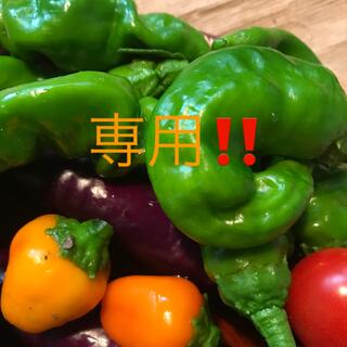 【ご予約品⠀】♪彩り野菜セット♪(野菜)