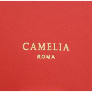 カメリアローマ(CAMELIA ROMA)のとびび様専用　CAMELIA ROMA 2wayバッグ レッド イタリア製(ショルダーバッグ)