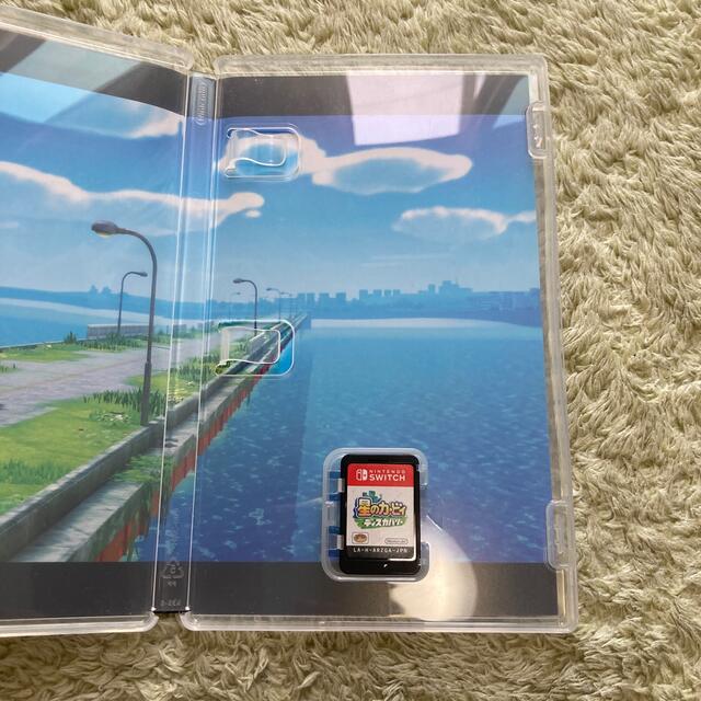 Nintendo Switch(ニンテンドースイッチ)の星のカービィ　ディスカバリー Switch エンタメ/ホビーのゲームソフト/ゲーム機本体(家庭用ゲームソフト)の商品写真