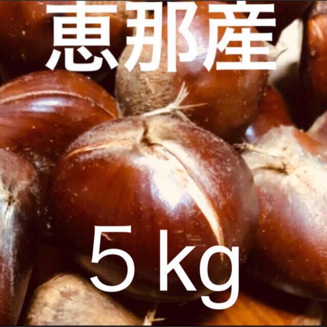 4cm以上の大粒入り 栗 3L 5kg 無農薬