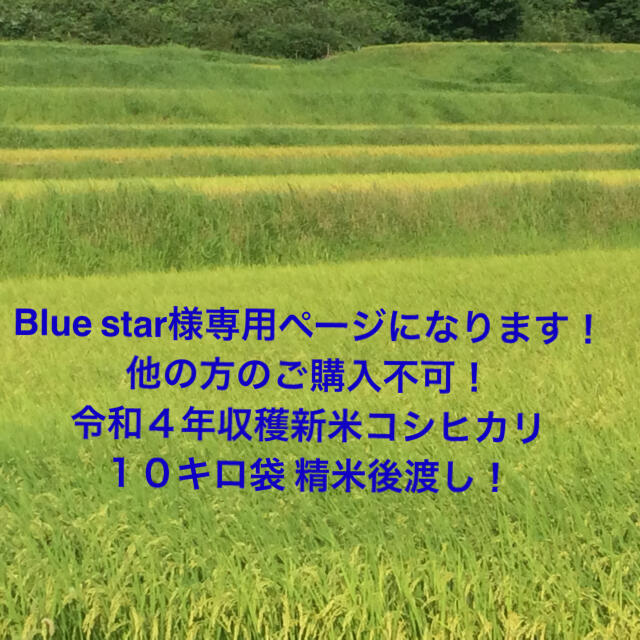 Blue  star様専用ページ 新米コシヒカリ１０キロ精米渡し！ 食品/飲料/酒の食品(米/穀物)の商品写真