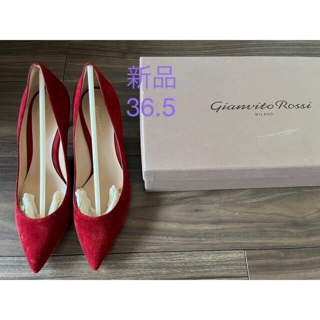 Gianvito Rossi ジャンヴィトロッシ　スエードパンプス36.5新品ハイヒール/パンプス