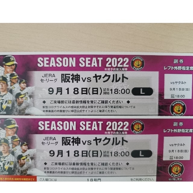 阪神タイガース(ハンシンタイガース)の奇蹟の優勝決定戦 阪神 VS ヤクルトレフト 9/18外野指定席13段2席 チケットのスポーツ(野球)の商品写真