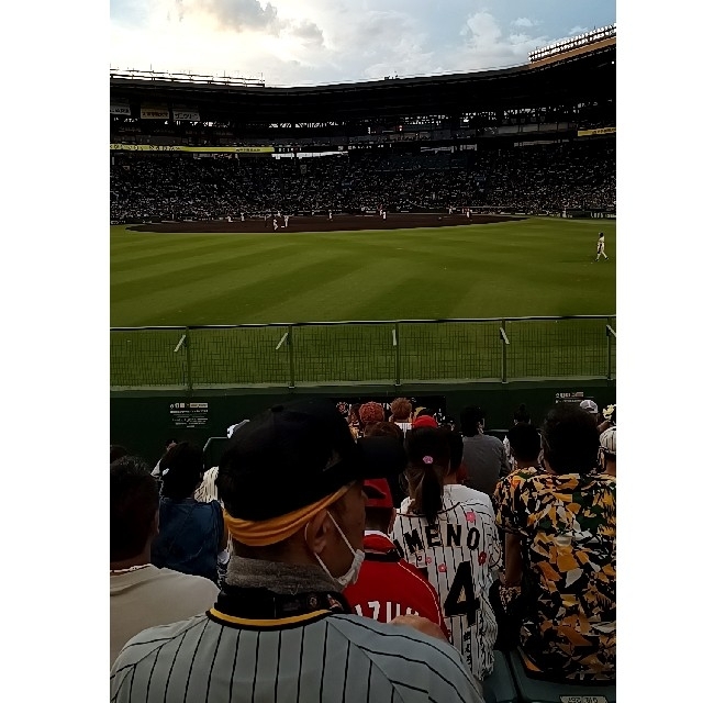 【プロ野球】９月２日（木）阪神 vs 中日 レフト外野指定席 ペアチケット