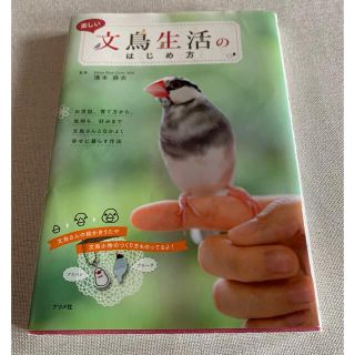 楽しい文鳥生活のはじめ方(住まい/暮らし/子育て)