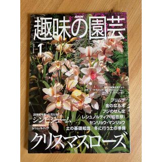 趣味の園芸２冊(趣味/スポーツ/実用)