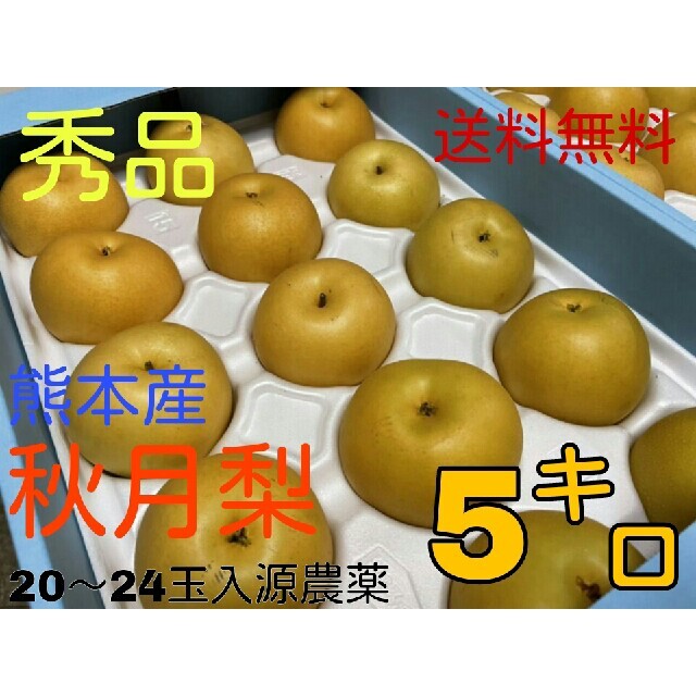 秀品　熊本秋月梨約５キロ20～24玉入り 食品/飲料/酒の食品(フルーツ)の商品写真