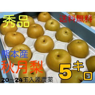 秀品　熊本秋月梨約５キロ20～24玉入り(フルーツ)