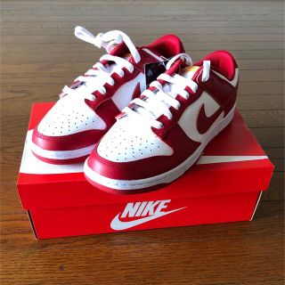 ナイキ(NIKE)のNike Dunk Low Retro　27cm(スニーカー)