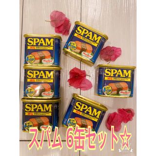 ★新品★人気★沖縄 スパム SPAM お土産 減塩 6缶 ランチョミート スパ(缶詰/瓶詰)