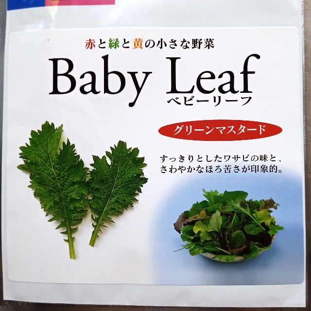 ベビーリーフ種子 B-32 グリーンマスタード（縮緬） 2.5ml x 2袋 食品/飲料/酒の食品(野菜)の商品写真