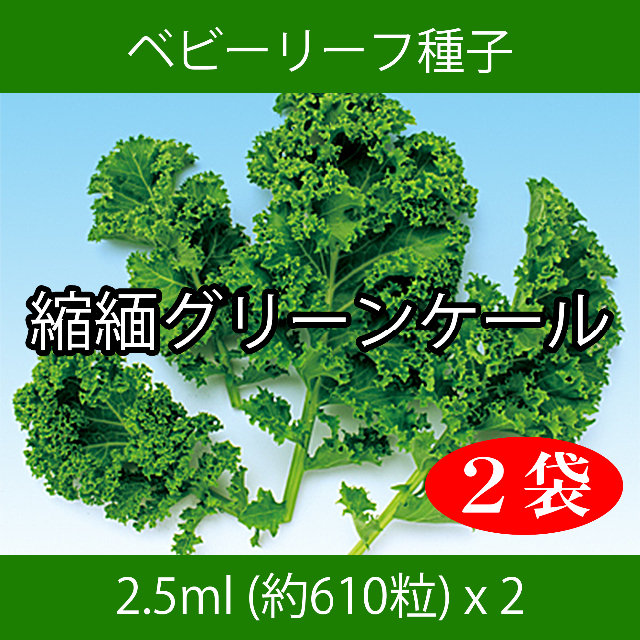 鈴木様専用　セレクト種子　4袋 食品/飲料/酒の食品(野菜)の商品写真