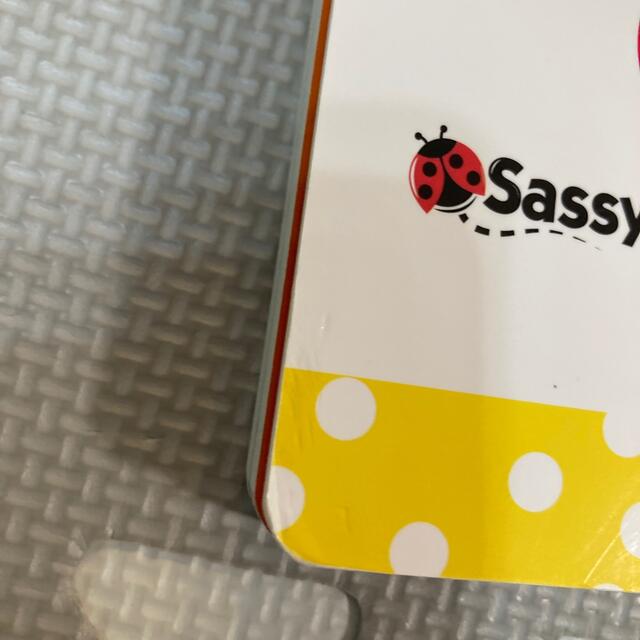Sassy(サッシー)のsassy 絵本セット エンタメ/ホビーの本(絵本/児童書)の商品写真
