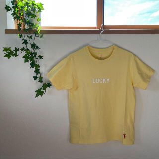 ヤエカ(YAECA)の《美品》sunshine＋cloud ショートスリーブTシャツ(LUCKY×7)(Tシャツ(半袖/袖なし))