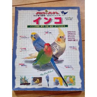 インコ インコの飼育・医学・エサ・生態・歴史すべてがわかる(住まい/暮らし/子育て)