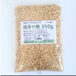 【あと4点！】猫草の種 350g ねこ草の種 安心安全 農薬未使用(猫)