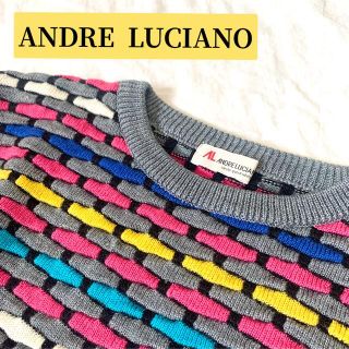 ANDRE LUCIANO - ANDRE LUCIANO 3D セーター レトロ 古着 ニット ...