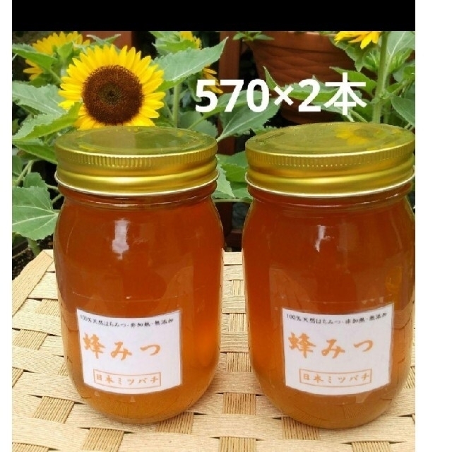 日本ミツバチの蜂蜜1300g 570g×2本 160g×1本   オマケ付き