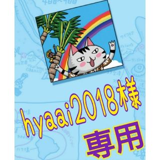 hyaai2018様  専用(その他)