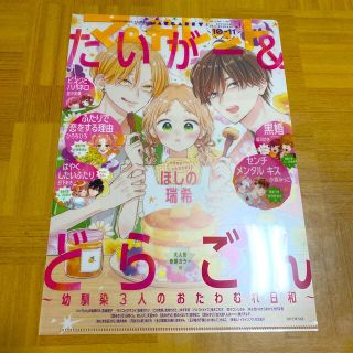 シュウエイシャ(集英社)のマーガレット　懸賞　非売品　たいがー&どらごん　クリアファイル(少女漫画)