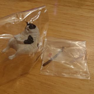 【未使用品】釣り日和 猫たちのひまつぶし ミックス(キャラクターグッズ)