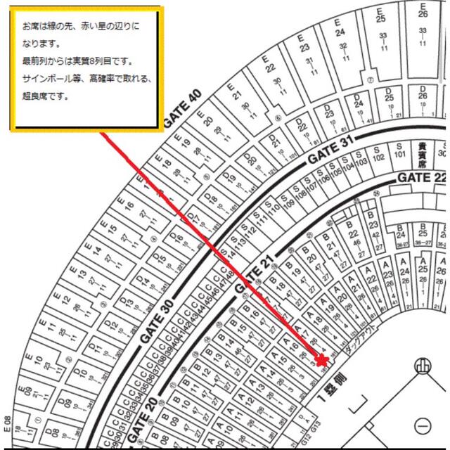 通路側から2席】東京ドーム 巨人対阪神5月6日火曜日ビームシート 通路側から2席】東京ドーム 巨人対阪神5月6日火曜日ビームシート