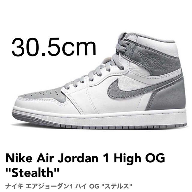 Nike Air Jordan 1 High OG Stealth 30.5cm