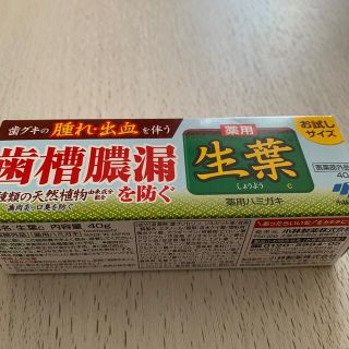 コバヤシセイヤク(小林製薬)の生葉　薬用ハミガキ粉(歯磨き粉)