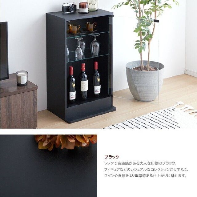 コレクションケース 奥行 18cm 収納 ディスプレイ コンパクト Legen