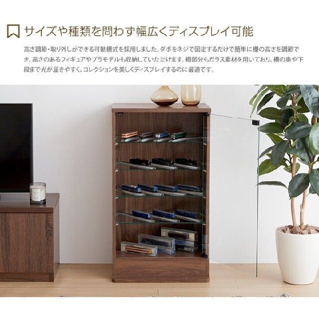 コレクションケース 奥行 18cm 収納 ディスプレイ コンパクト Legen