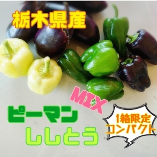 栃木県産　ピーマン・ししとうMIX【コンパクトBOX】(野菜)