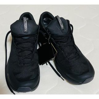 アークテリクス(ARC'TERYX)のアークテリクス　AERIOS FL GTX(その他)