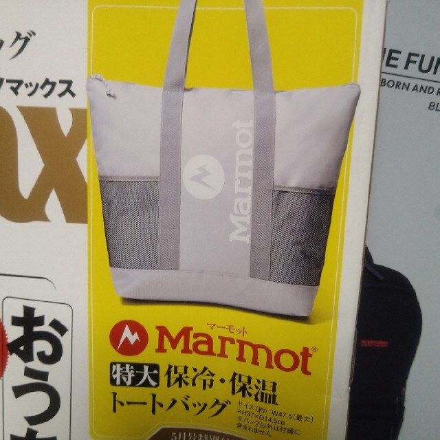 MARMOT(マーモット)の《匿名配送》Marmot 特大保冷・保温トートバッグ《新品》 メンズのバッグ(トートバッグ)の商品写真