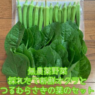 無農薬野菜＊採れたて新鮮オクラとつるむらさきの葉っぱのセット＊ネコポス＊(野菜)