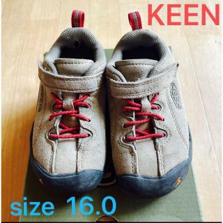 キーン(KEEN)のkeen キッズ　スニーカー　ジャスパー　キーン　16.0 15.0 15.5(アウトドアシューズ)