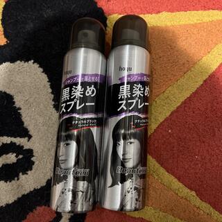 ホーユー(Hoyu)のビューティー黒染めスプレー　2本(カラーリング剤)