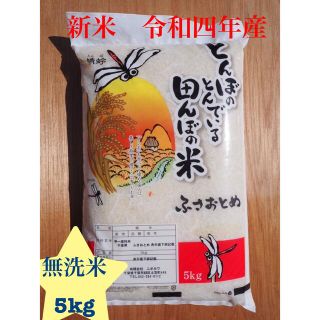 新米　ふさおとめ　無洗米　5kg 令和四年産(米/穀物)