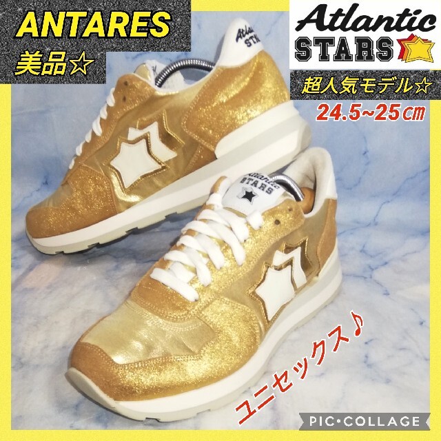 超熱 極美品アトランティックスターズ Atlantic Stars 25センチ