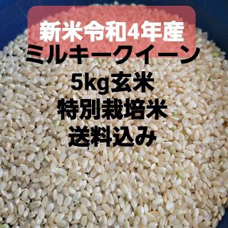 令和3年産新米5kgミルキークイーン玄米(米/穀物)