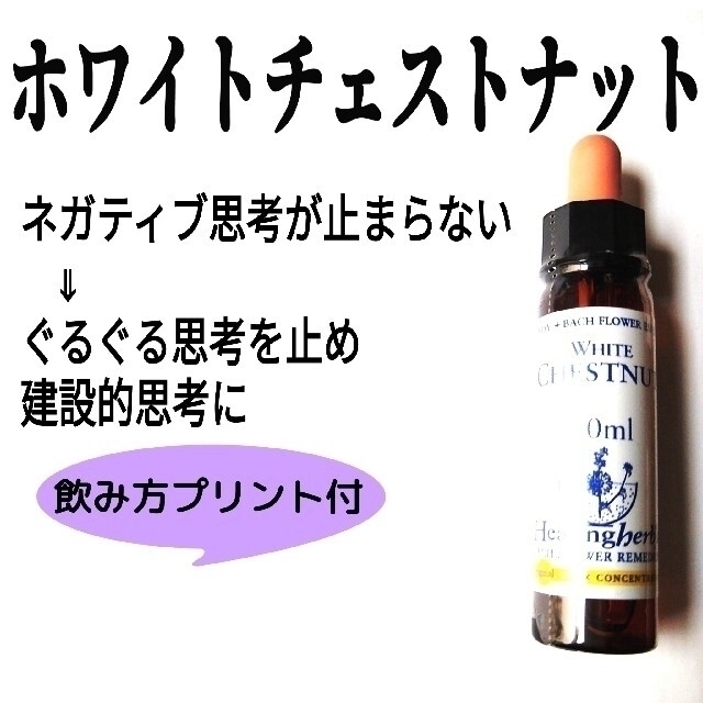 NEAL'S YARD(ニールズヤード)の35.ホワイトチェストナット《10ml》バッチフラワーエッセンスヒーリングハ コスメ/美容のリラクゼーション(その他)の商品写真