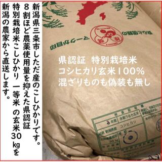 令和3年　新潟県三条市しただ産　減農薬特別栽培米コシヒカリ玄米30kg 白雪美人(米/穀物)