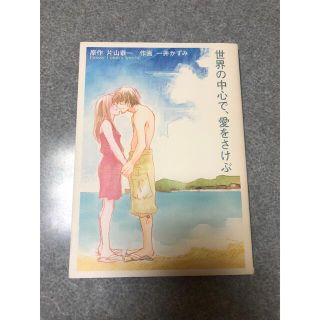 ショウガクカン(小学館)の世界の中心で、愛をさけぶ(その他)