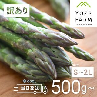 【訳あり品/クール便】那須の麓の朝採りアスパラガス　サイズいろいろ2,000g(野菜)