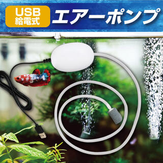 ◆ エアレーション USB給電式 エアーポンプ 釣り 水槽 エアーストーン(アクアリウム)